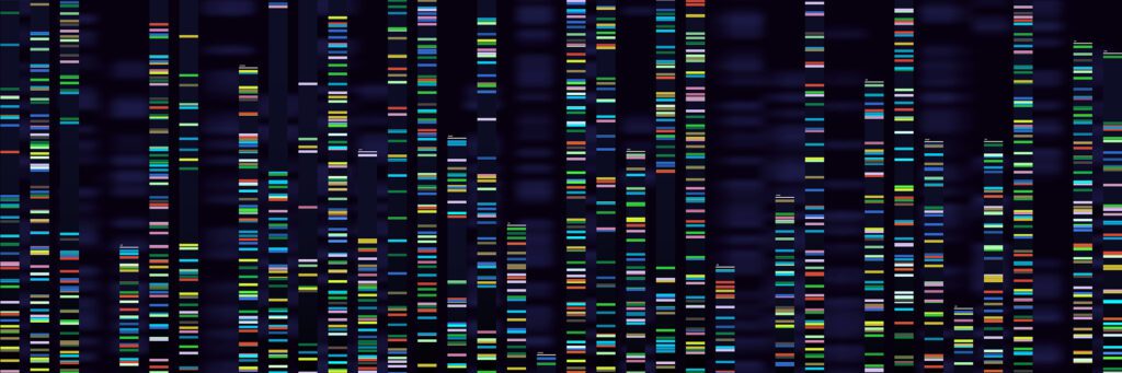 DNA genomes sequencing