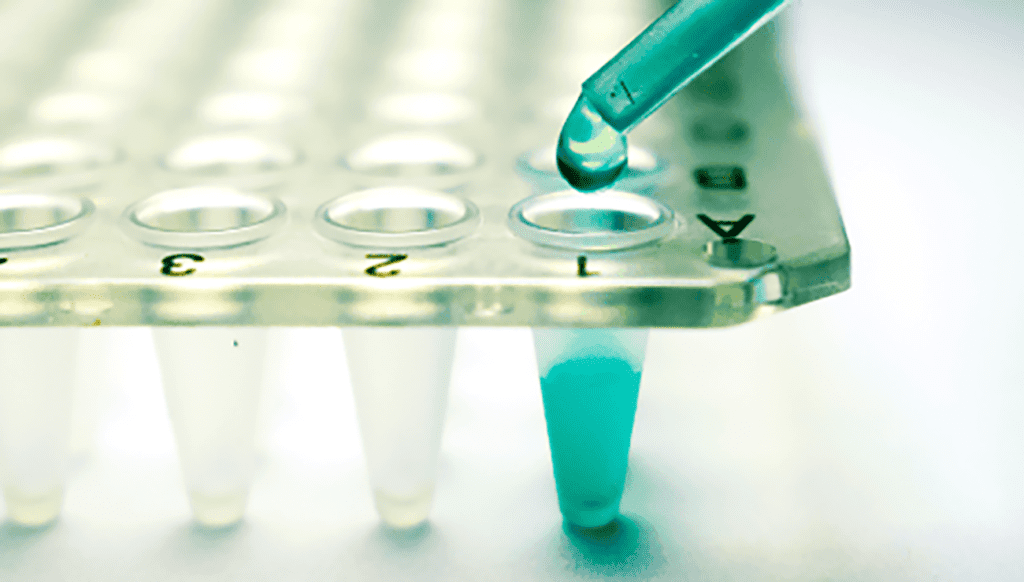 A pipette filling research culture plates with stem cells