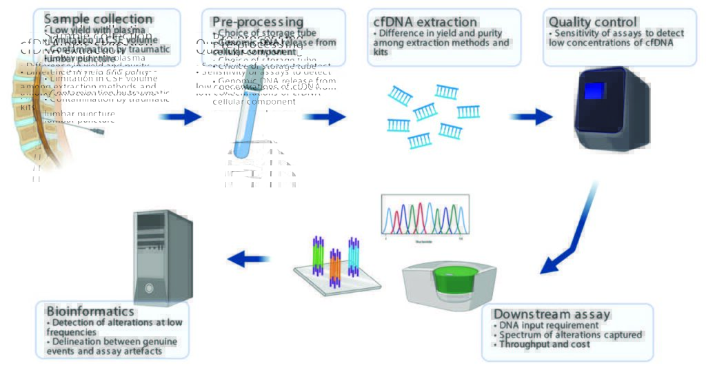 Summary of technical considerations. The application of cfDNA profiling for children with primary CNS tumors requires optimization of sample handling and experimental pipeline, inclusive of wet and dry lab components. Source: Lie A et al, Circulating tumor DNA profiling for childhood brain tumors: Technical challenges and evidence for utility. Lab Invest. 2022 Feb;102(2):134-142.