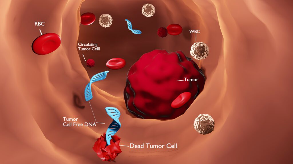 3d Illustration depicting concept of Tumor Cell Free DNA in blood vessel