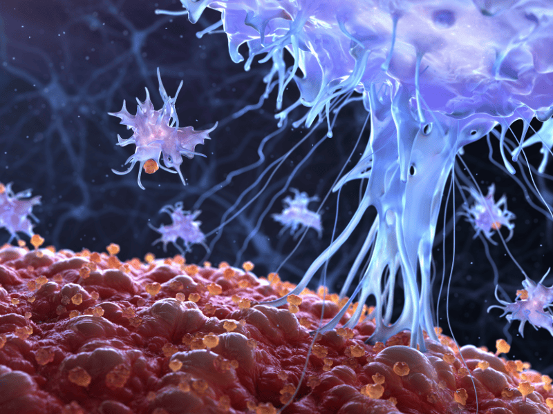 Illustration of human immune cells attacking cancer cells