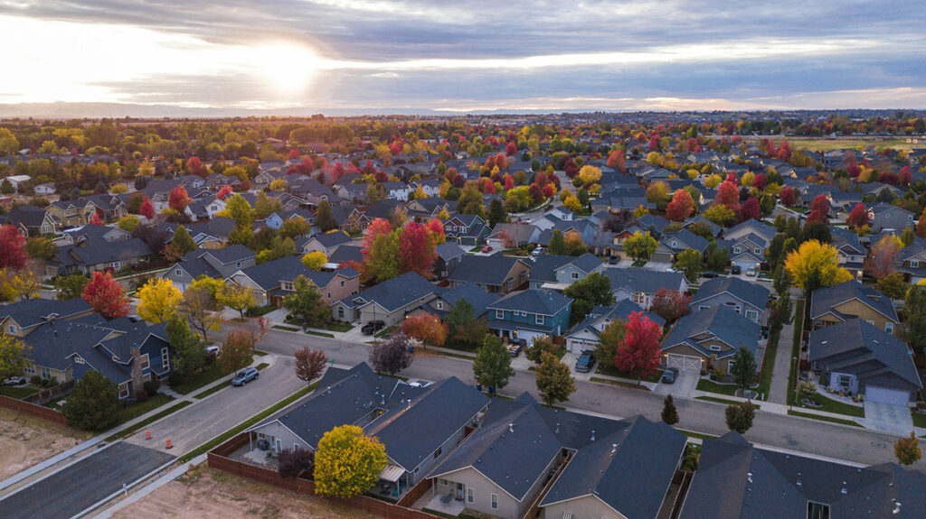 Aerial view of a suburban neighborhood with trees planted between houses